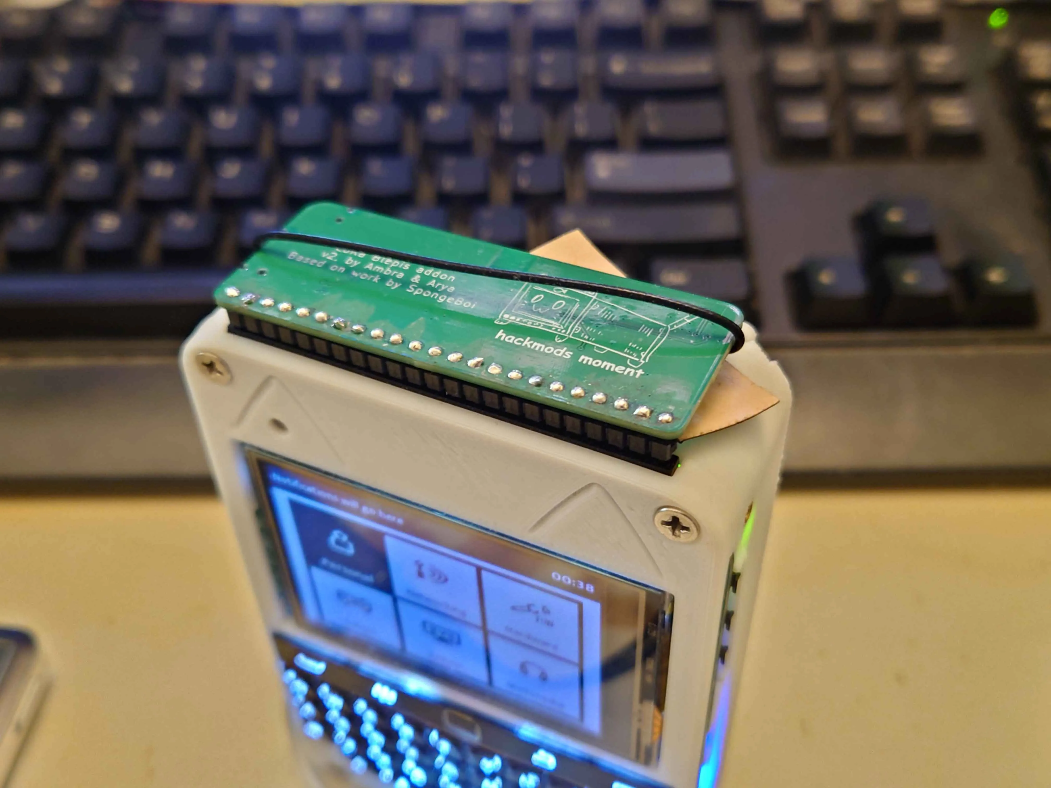 Lora-blepis mounted on blepis