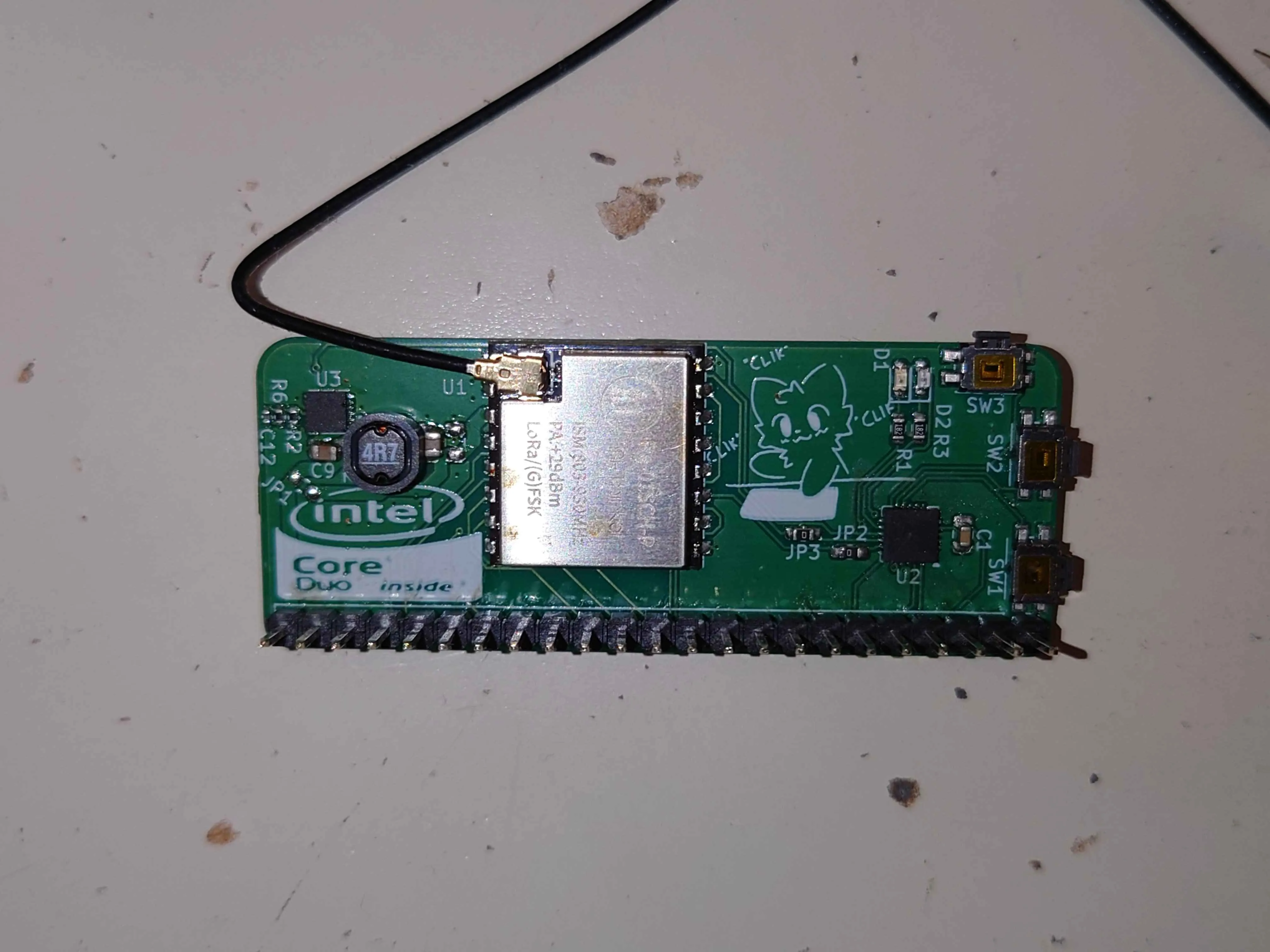 Lora-blepis front